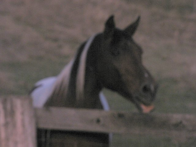 Day7 Part Three-27.jpg