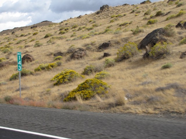 Yellow stuff along the road