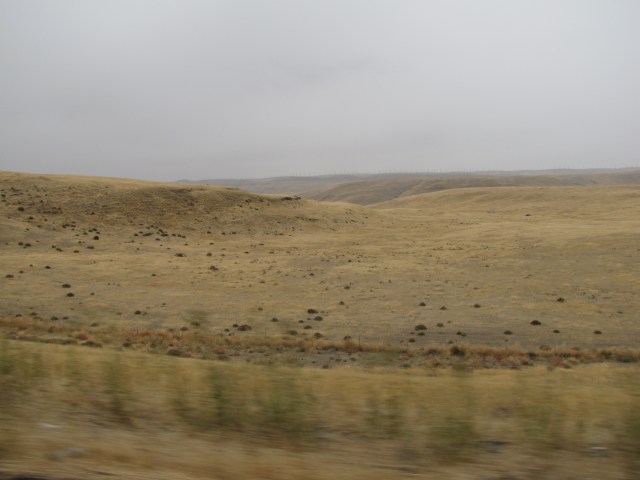 Open space just mauka of Hwy 12 (Wallula Junction)