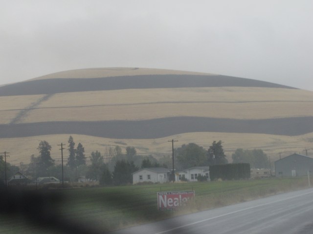 Burned fields outside Waitsburg