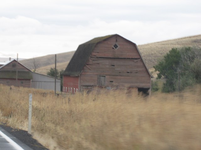 Old barn