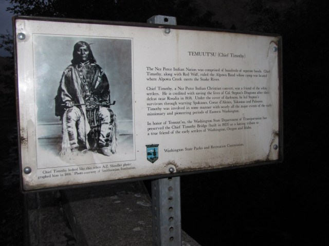 Chief Temuu't'su Bridge