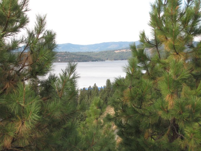 Lake Coeur D'Alene