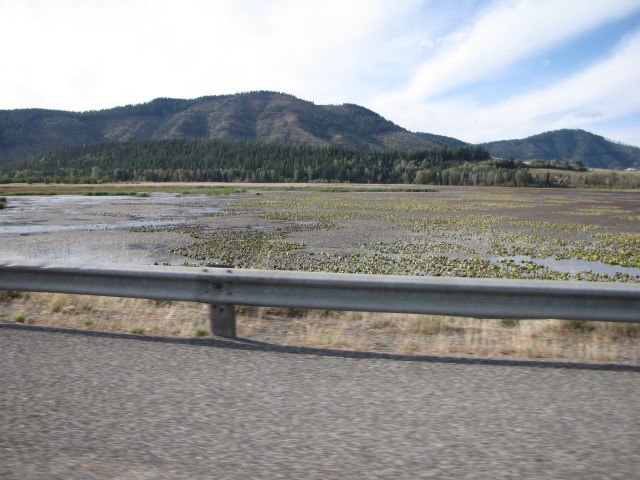 I-90 Just past Tamarack Ridge Road