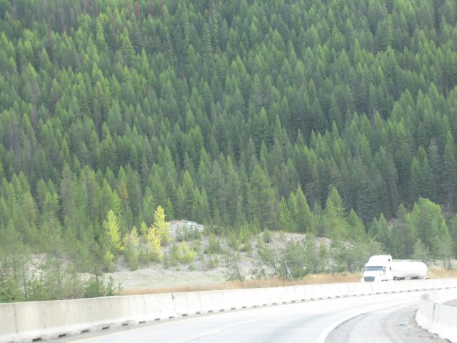 Between Tammary and Saltese