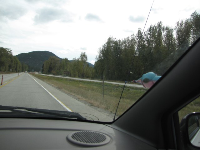 Just makai of St Regis