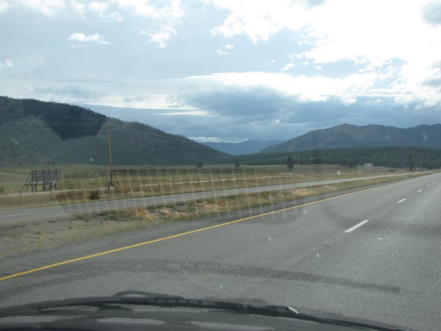 Meadow, forest, near Tarkio turn-off (exit 55)