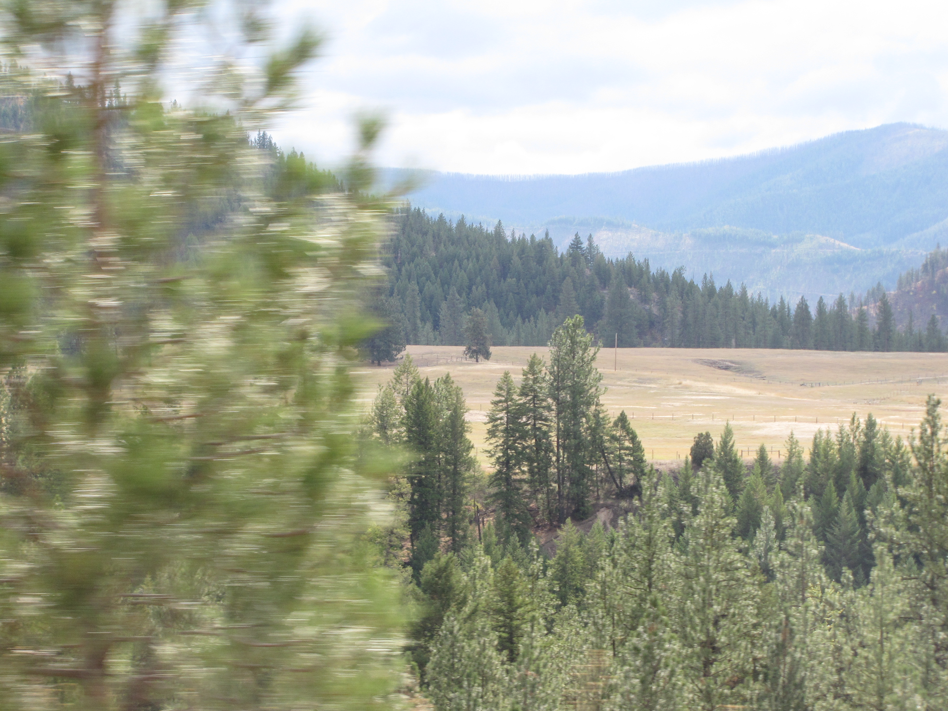 Meadow, forest, SE of Tarkio, highway still split, along the river, heading NE