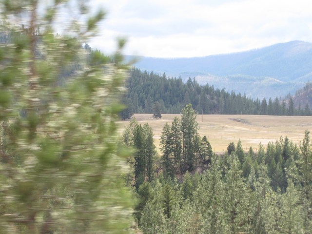 Meadow, forest, SE of Tarkio, highway still split, along the river, heading NE