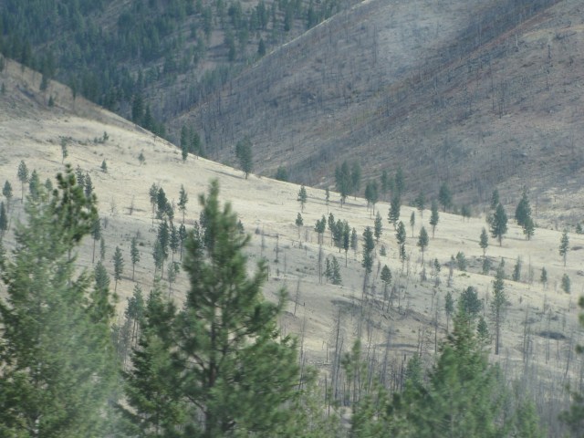 Near Fish Creek Road