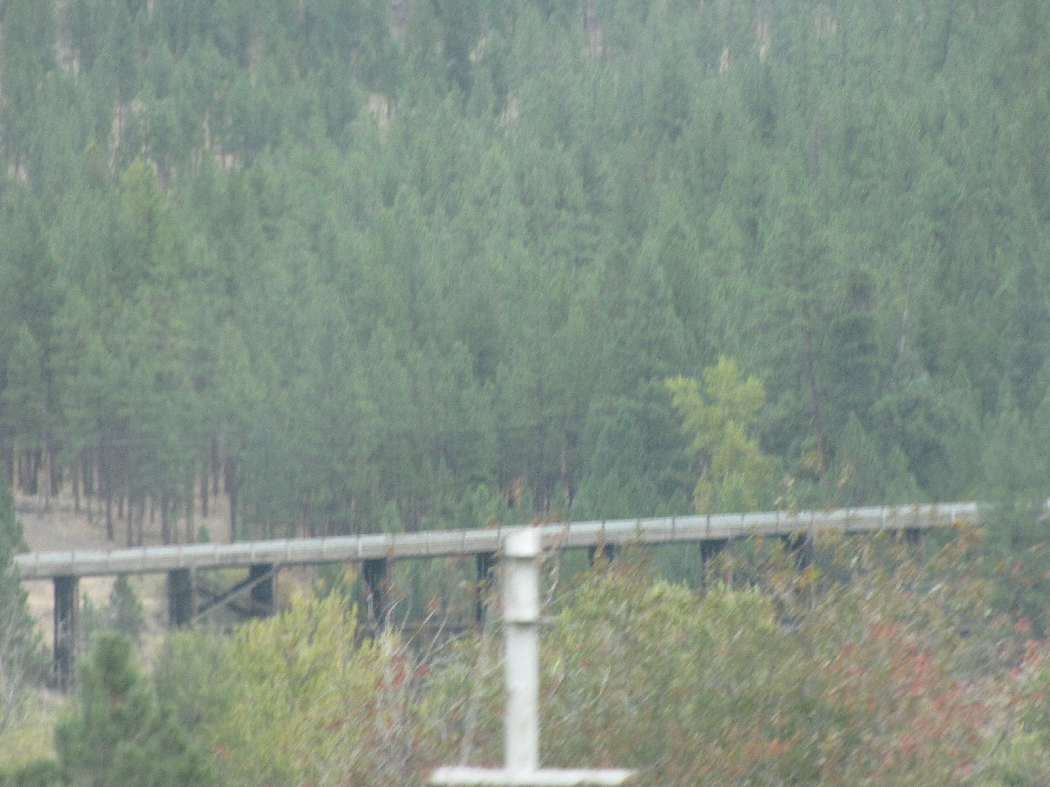 Railroad trestle near Nine Mile Road