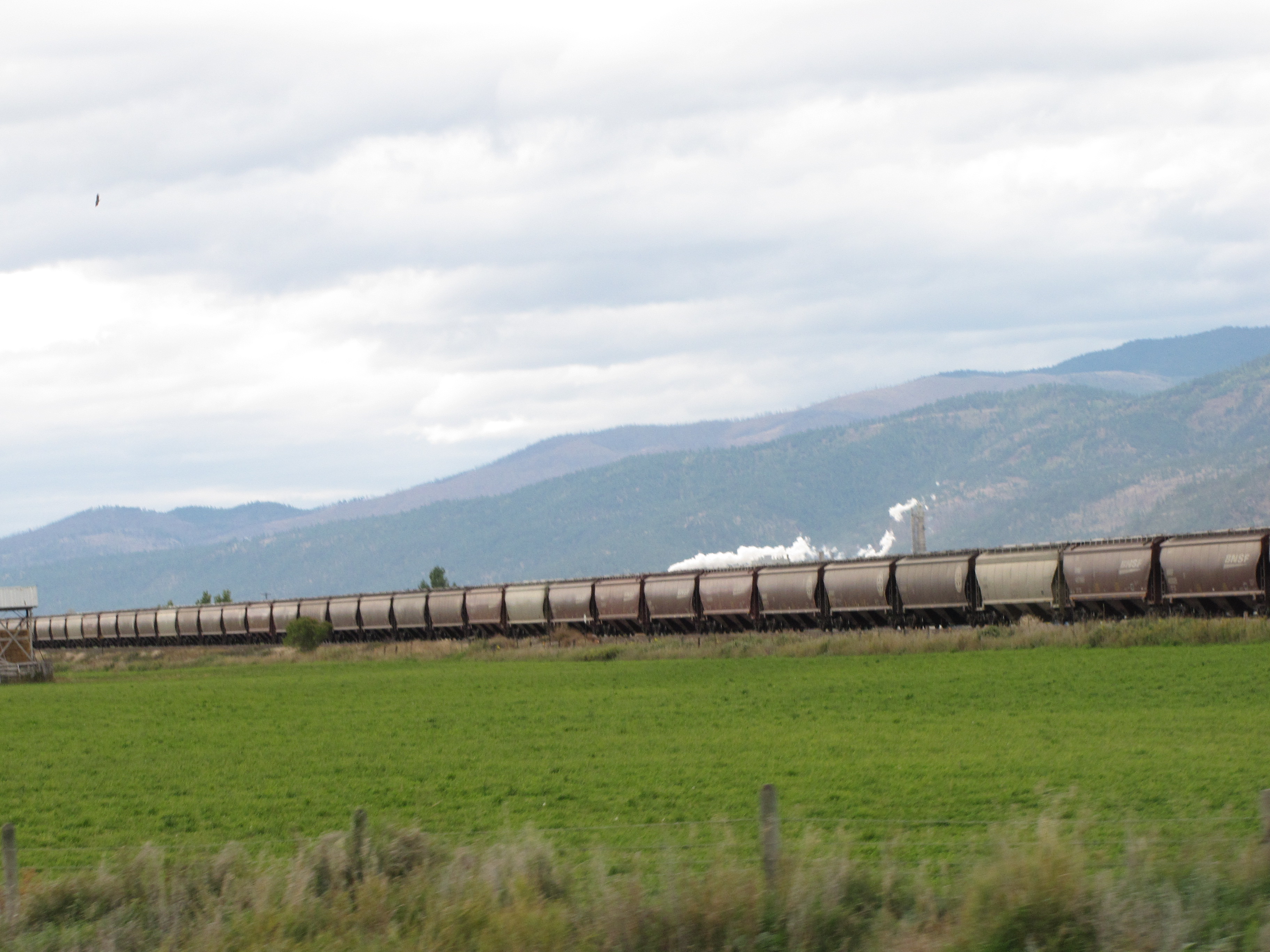 Train in Frenchtown - 12:40 a.m.