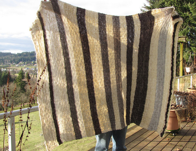 Blankie1