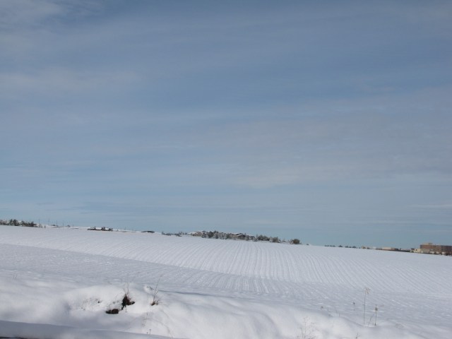 Looking across the wheat fields to Auntie's place