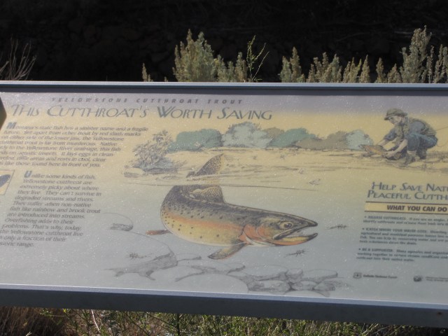 Yankee Jim Canyon stop