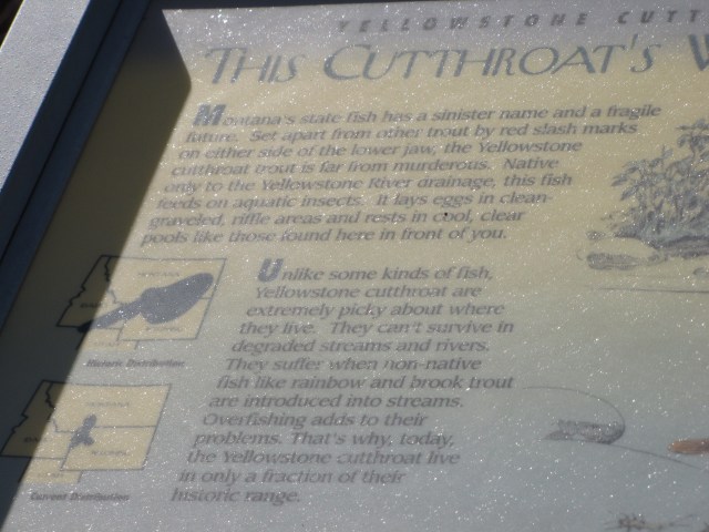 Yankee Jim Canyon stop