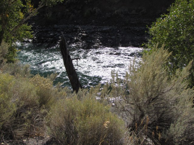 Yellowstone River