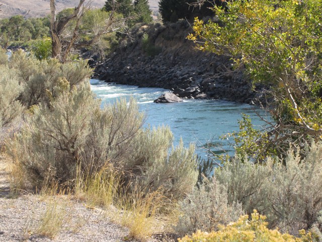 Yellowstone River