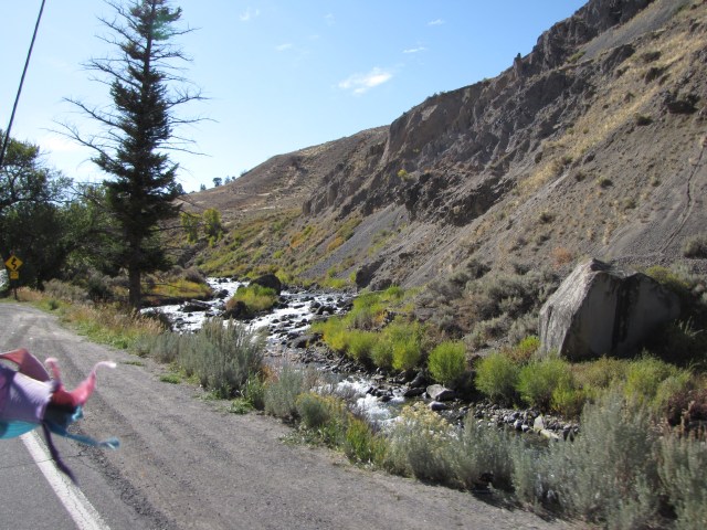 Yellowstone River on North Entrance Road