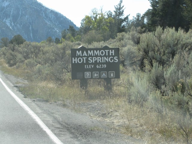Mammoth Hot Springs!