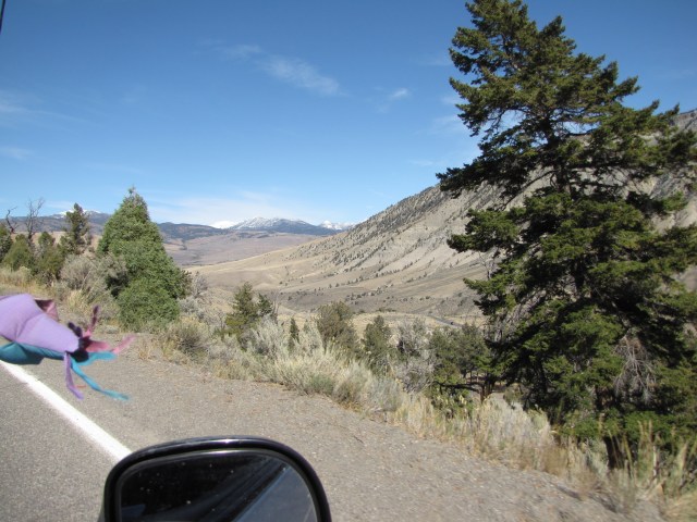 Coming into Mammoth Hot Springs
