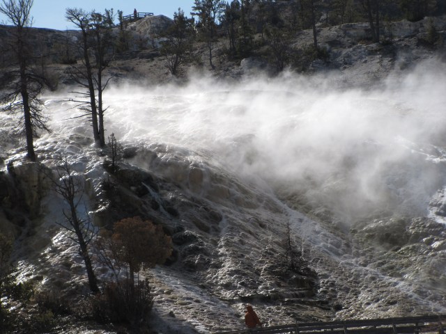 Beaver Pond Hot Springs - Grand Loop Road