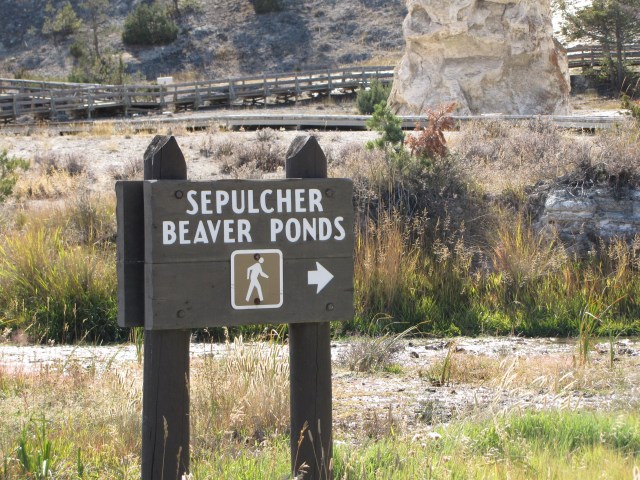 Sepulcher Beaver Ponds