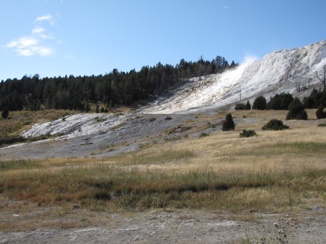 Mammoth Hot Springs