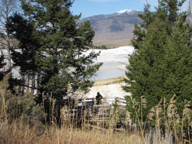 Mammoth Hot Springs