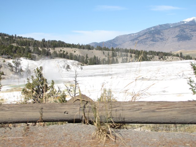 Mammoth Hot Springs