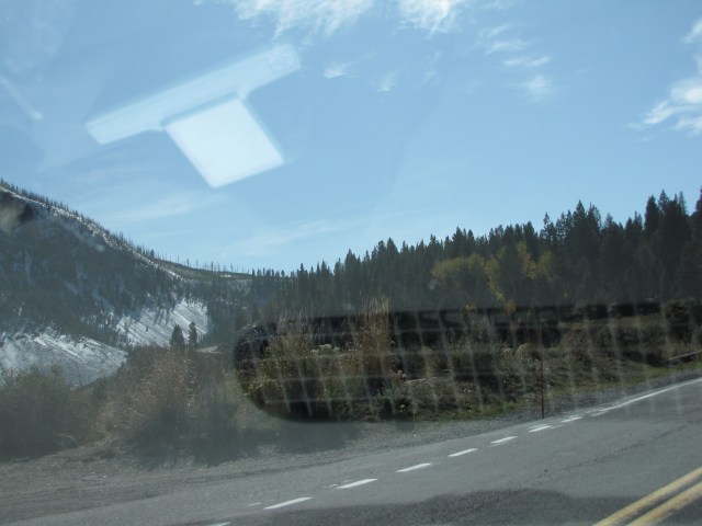 Along Grand Loop Road just before (unnamed) lake