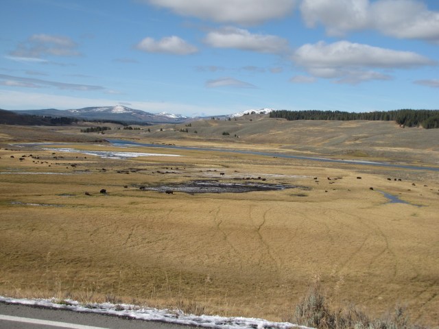 Leaving Hayden Valley