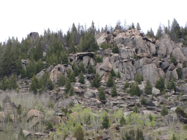 img_1289_zpszigwrh8o