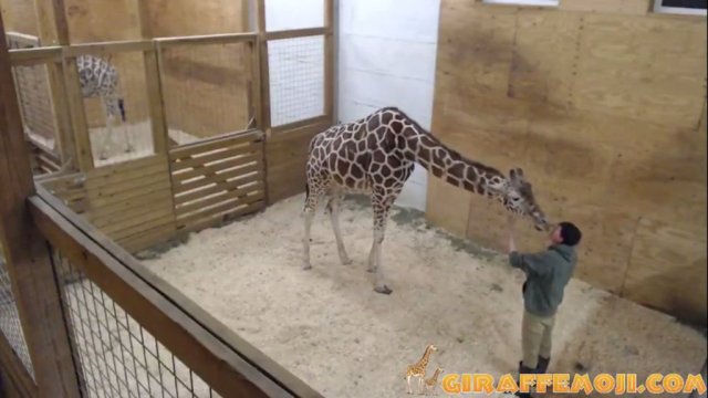 1820march2_zpsqb6gzwqw