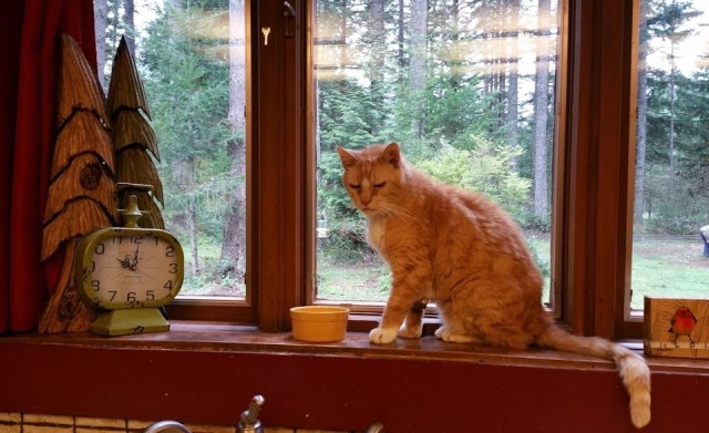 1920april1_zpshpvtzky9