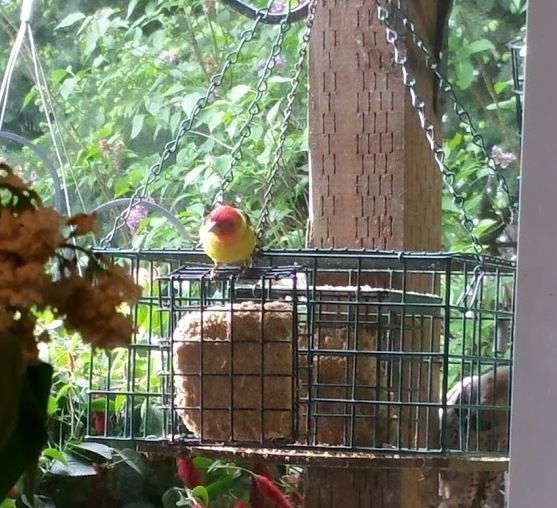 1920may1_zpsnyb93s38