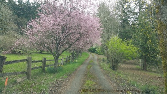 420april_zpswmykd0vf