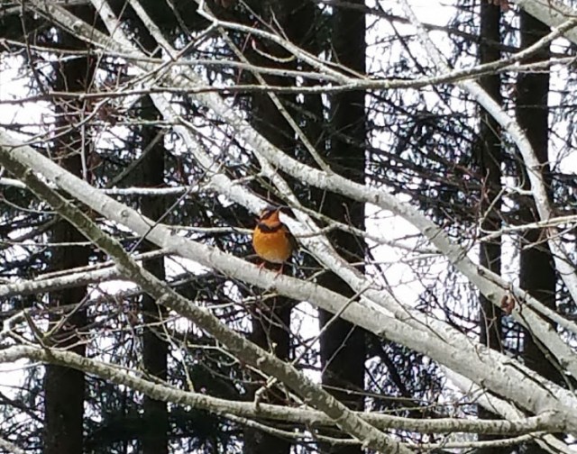 820january_zpsyqggn1ay