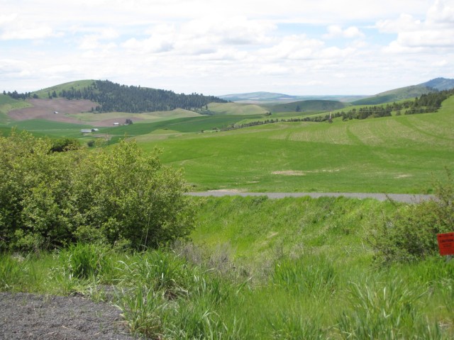 img_1658_zps3nnyy95l