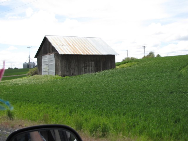 img_1664_zpsf9rq9ttd