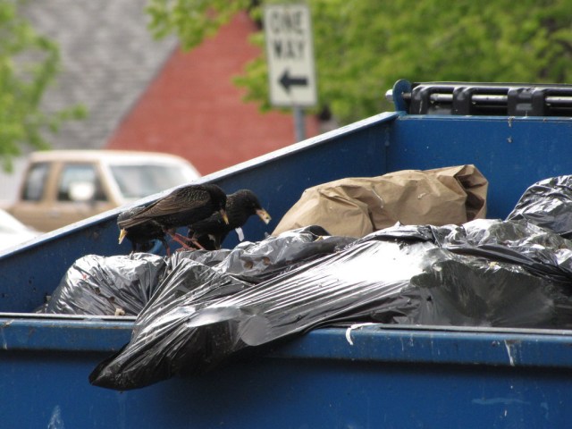 img_1684_zps8xhv6lrs